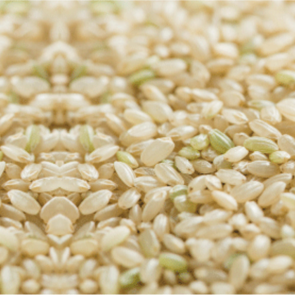 Organic Rice from Saga - 350g-Japan-Best.net-White Rice-Japan-Best.net