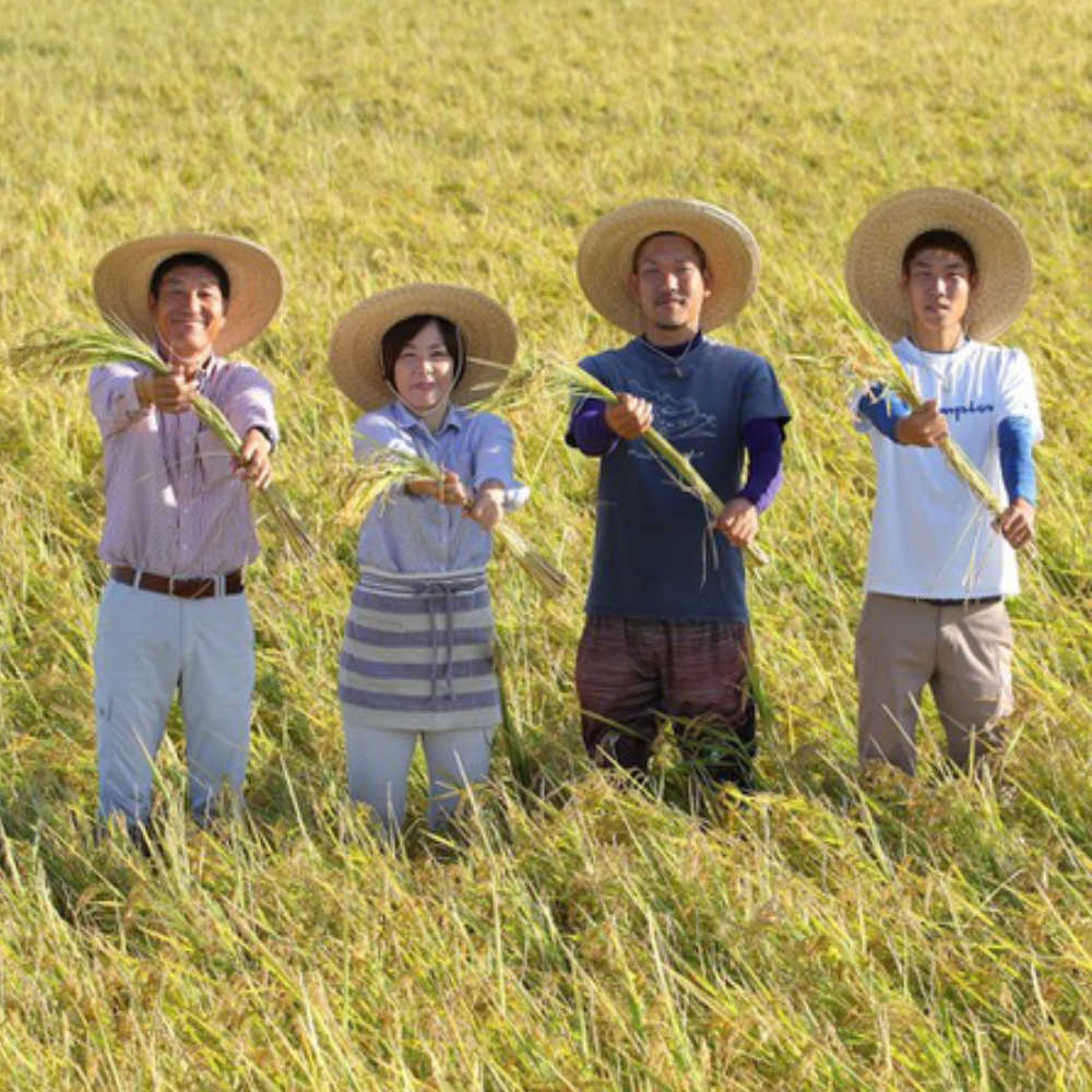 Organic White Rice from Saga - 350g-Japan-Best.net-Japan-Best.net