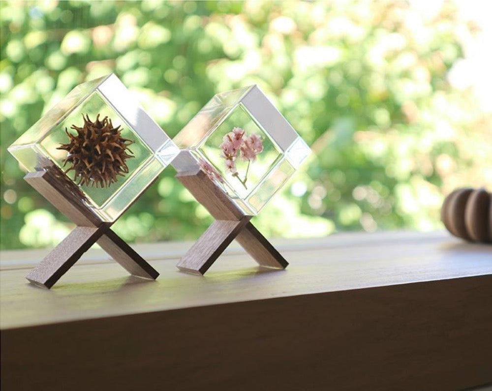 Botanical Sola Acrylic Cubes-Japan-Best.net-The American Sweet Gum-Japan-Best.net