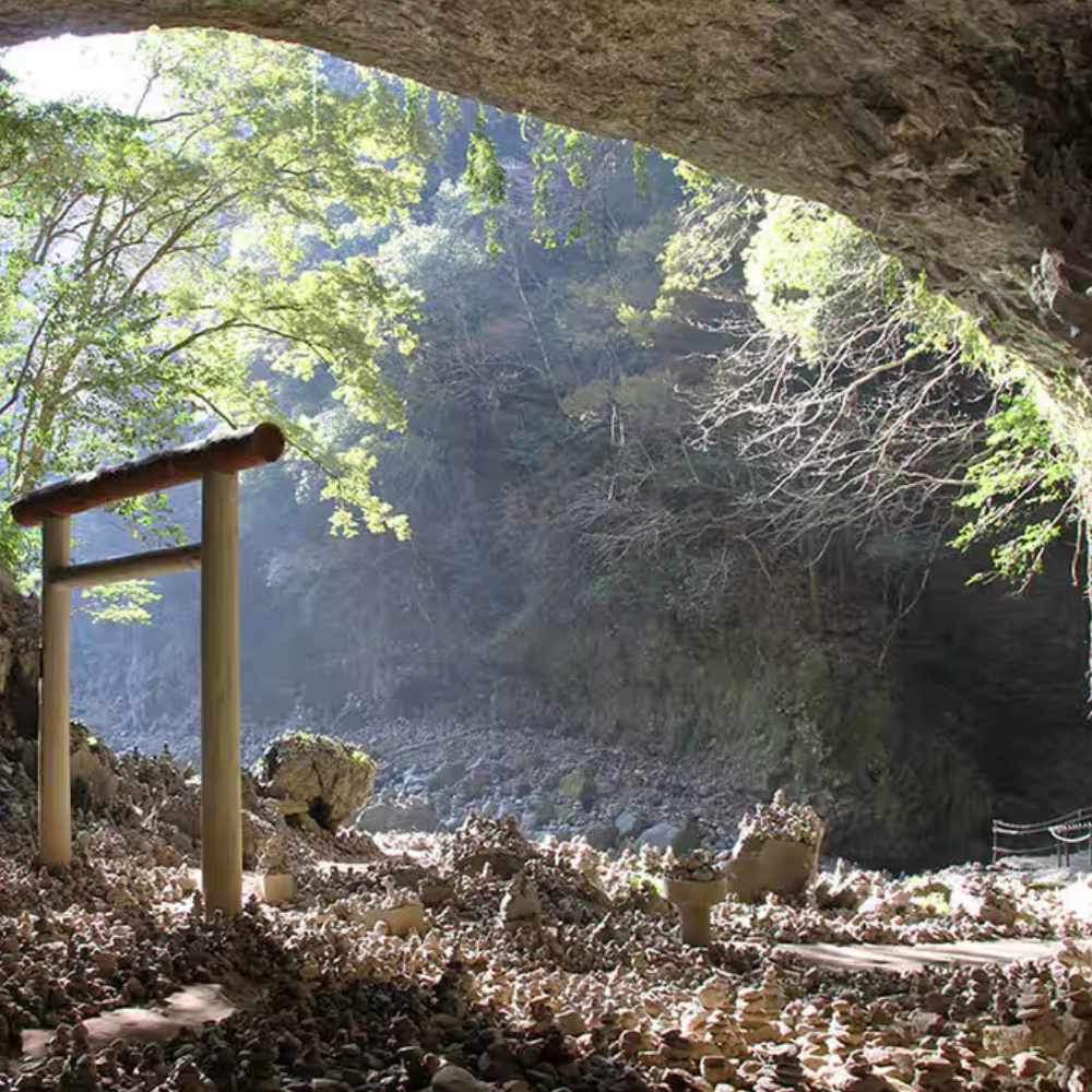 Flower of the Gods Wakocha - Limited edition-Japan-Best.net-Japan-Best.net