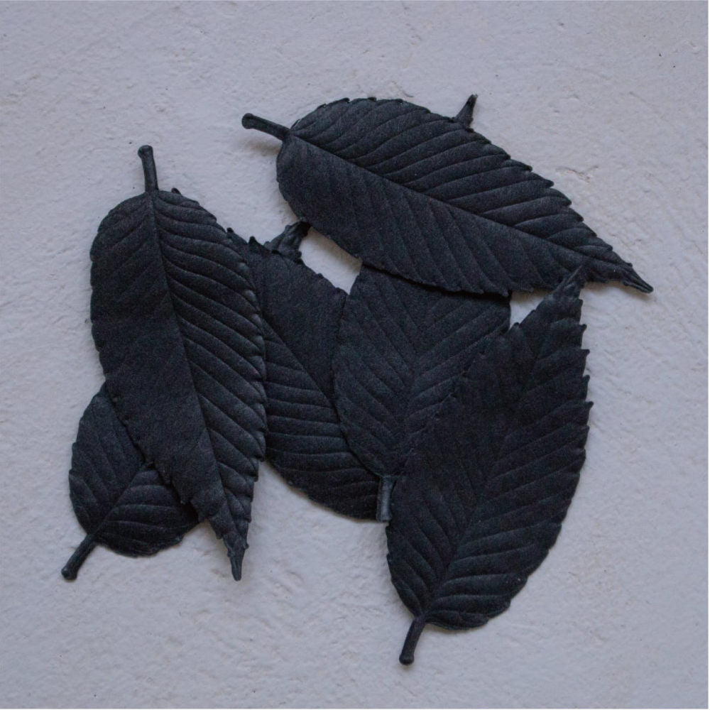 Hako Relax - 6 leaves-www.Japan-Best.net-Japan-Best.net
