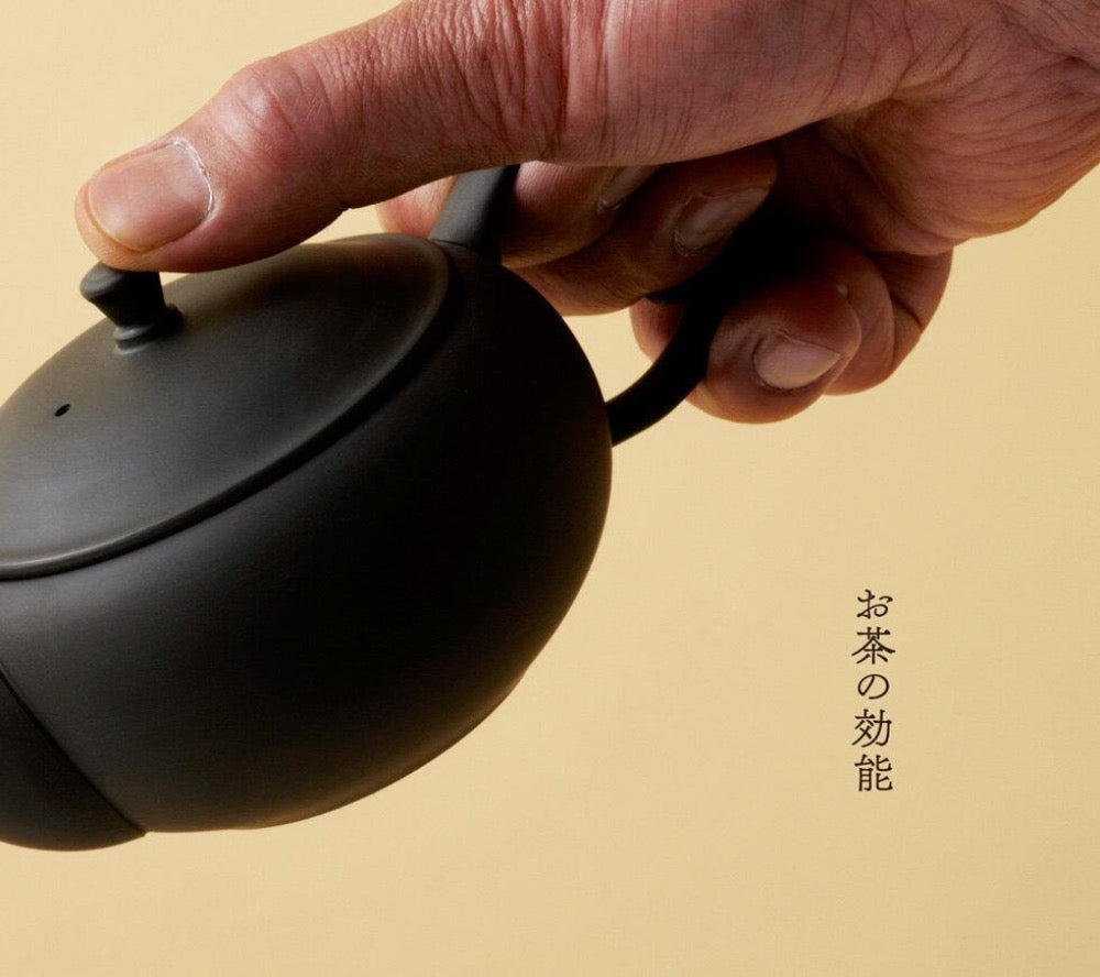 AZMAYA Oval Tea Pot Hirakyusu-Japan-Best.net