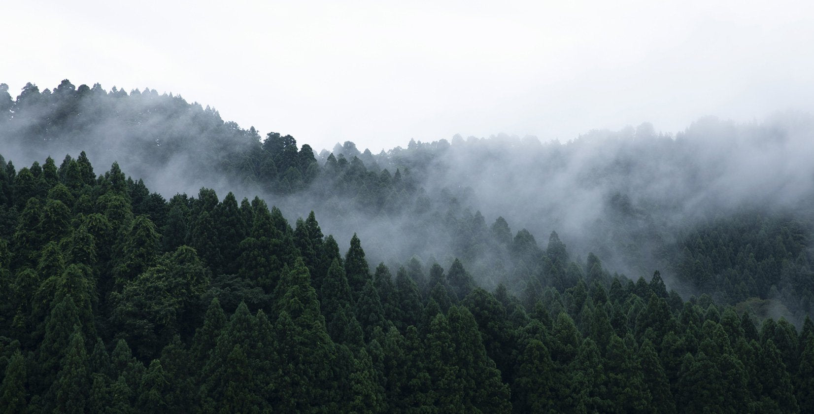 KAME MANNEN Sunglasses 74 ATG Polorized-Japan-Best.net-Japan-Best.net