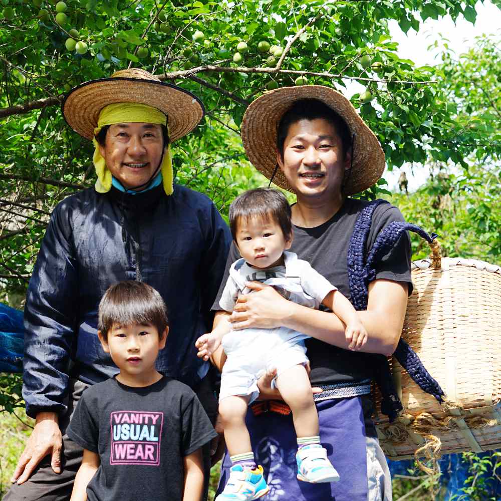 Organic Plum Seasonings-www.Japan-Best.net-Plum Flakes-Japan-Best.net