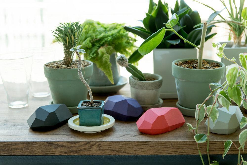 SUUU Ishi Sponge "Black"-Japan-Best.net