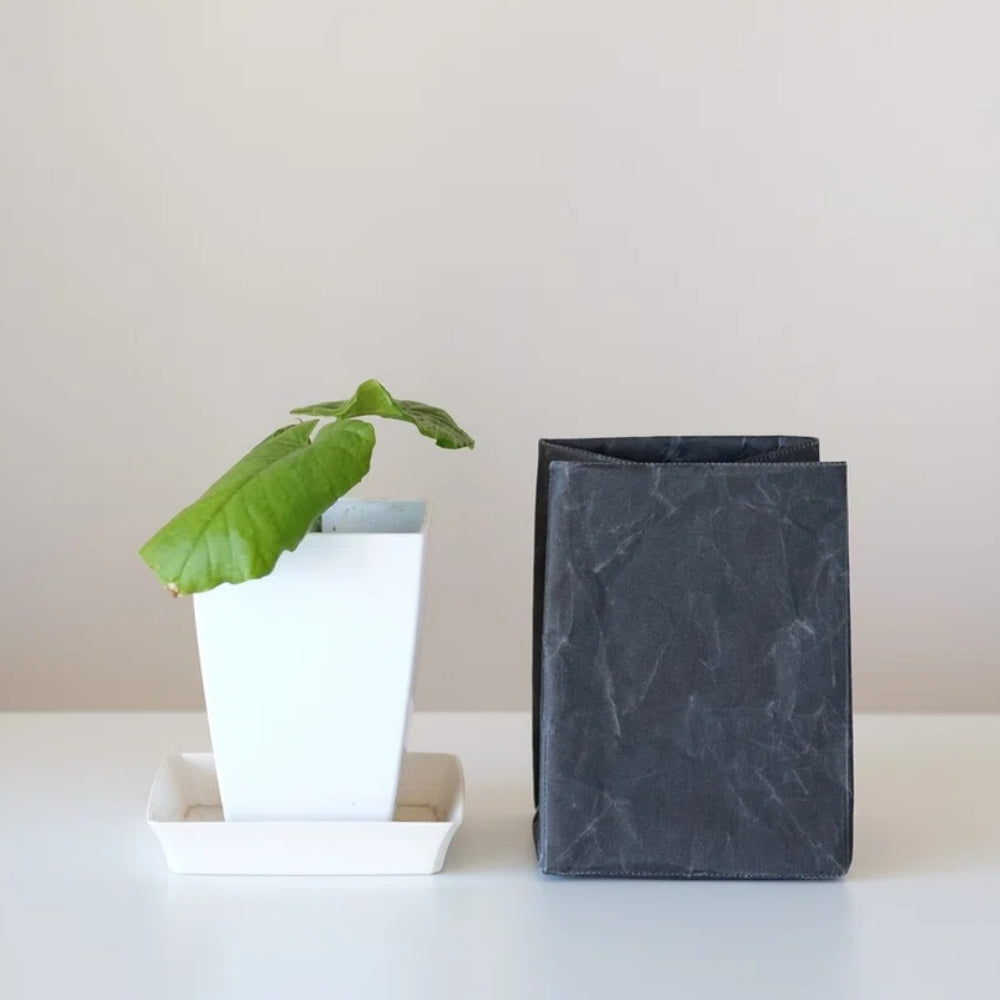 Washi Storage Box - Tall-Japan-Best.net-Black Washi-Small-Japan-Best.net