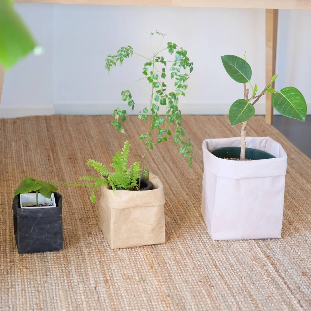 Washi Storage Box - Tall-Japan-Best.net-Black Washi-Small-Japan-Best.net