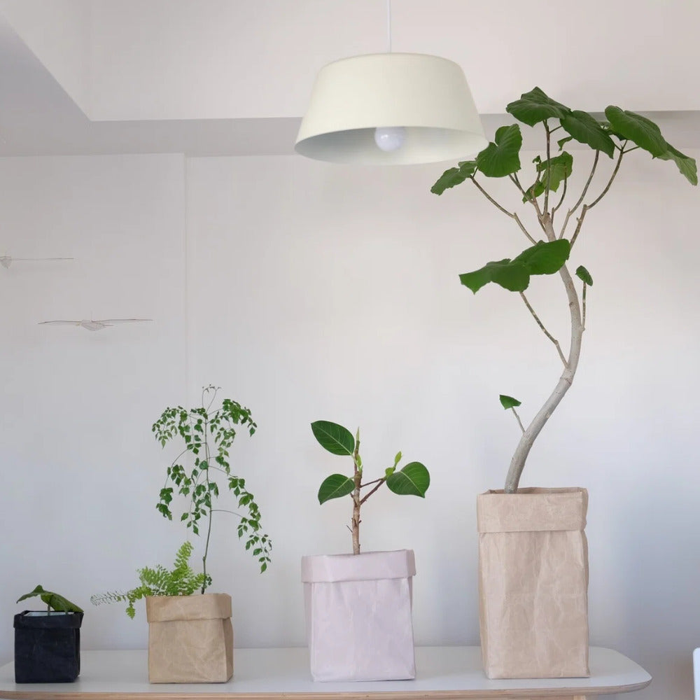 Washi Storage Box - Tall-Japan-Best.net-Black Washi-Small-Japan-Best.net