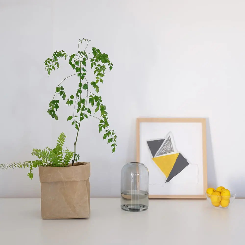 Washi Storage Box - Tall-Japan-Best.net-Black Washi-Small-Japan-Best.net