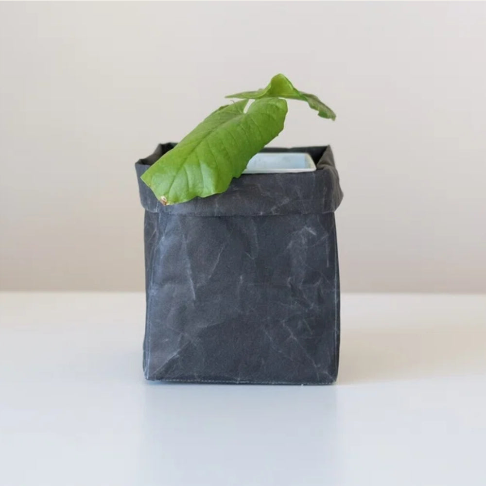 Washi Storage Box - Tall-Japan-Best.net-Black Washi-Small-Japan-Best.net