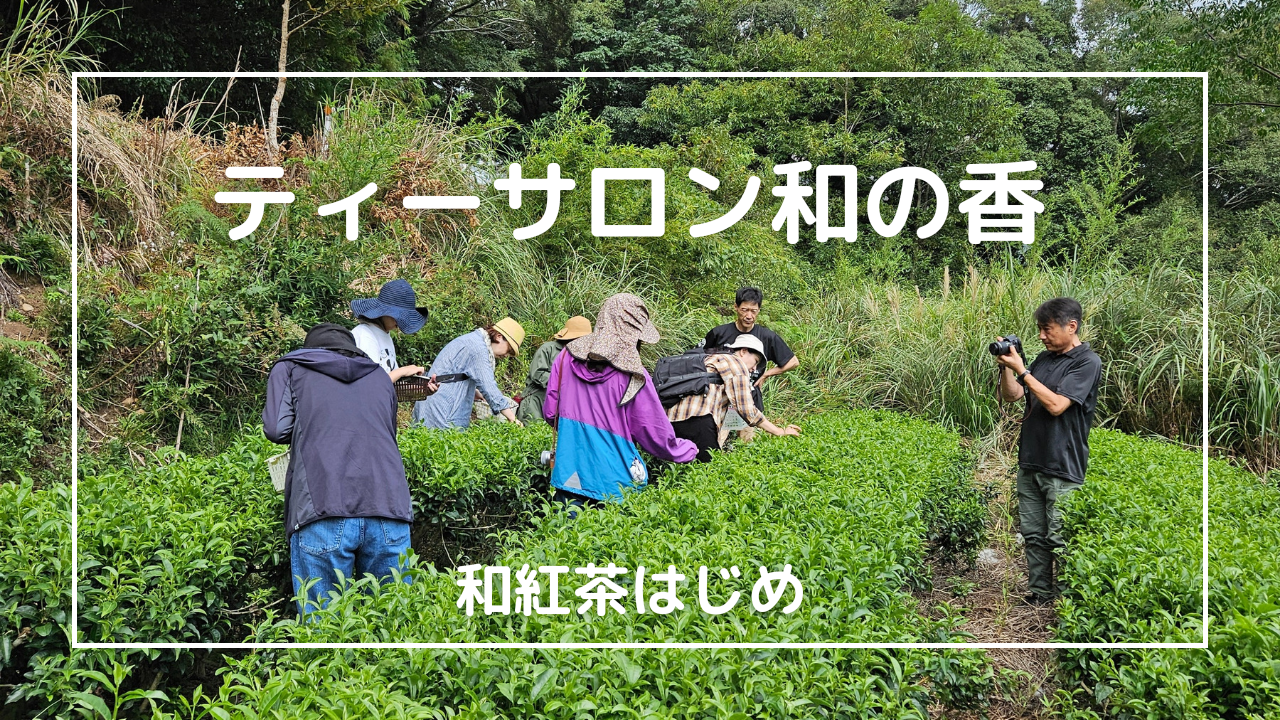 Winter Tea-Japan-Best.net-Japan-Best.net