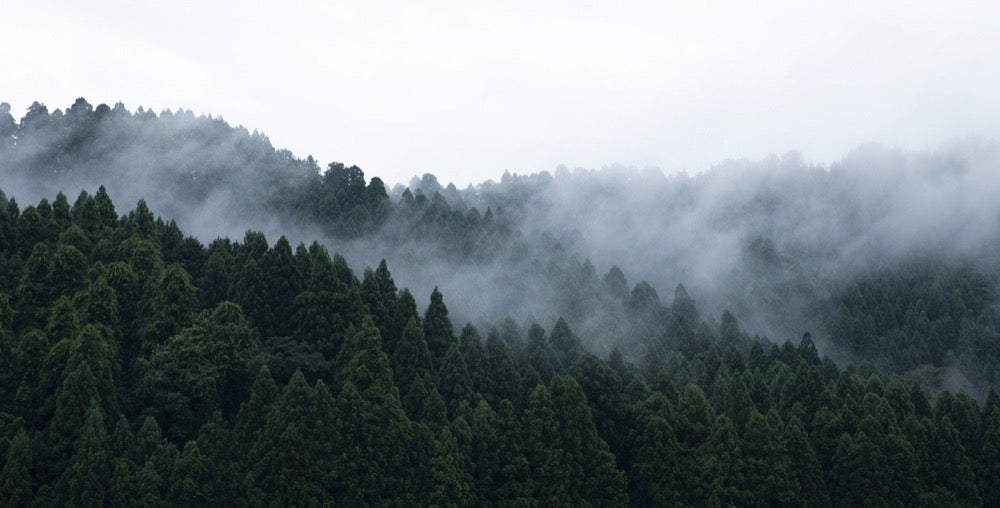 KAME MANNEN Sunglasses 01TR ATIPBR-Japan-Best.net-Japan-Best.net