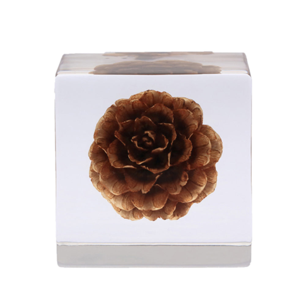 Botanical Sola Acrylic Cubes-Japan-Best.net-Karamatsu-Japan-Best.net