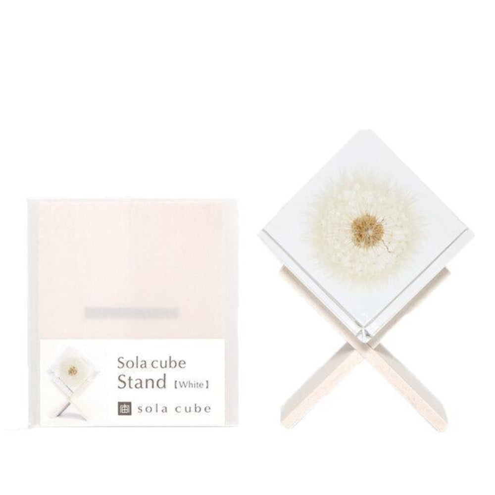 Botanical Sola Acrylic Cubes-Japan-Best.net-White Wooden Stand-Japan-Best.net