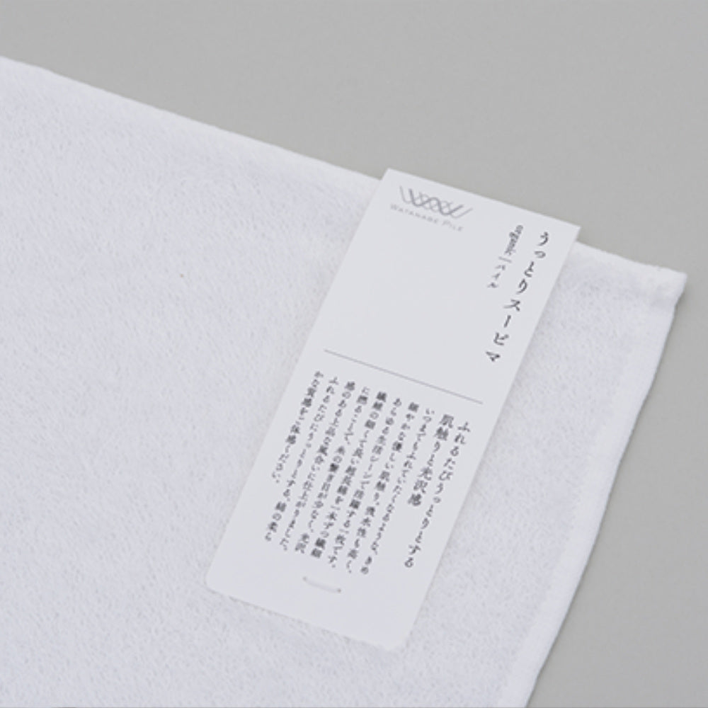 Imabari Creme "Taj Mahal" Series-Japan-Best.net-White-Bath : 60 x 120cm-Japan-Best.net