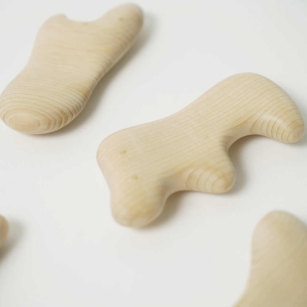 Massage Tool-Japan-Best.net-Japan-Best.net