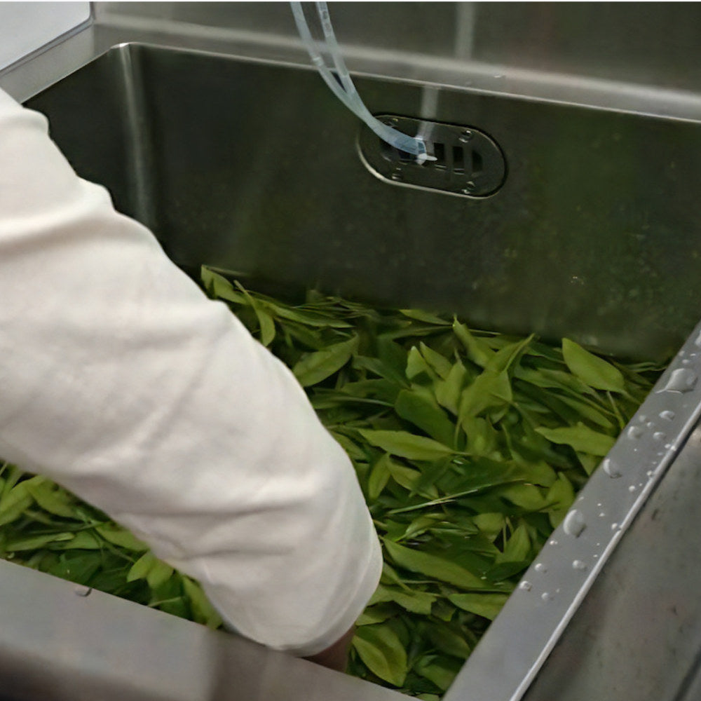 Organic Everyday Matcha - Single Origin-Japan-Best.net-Japan-Best.net