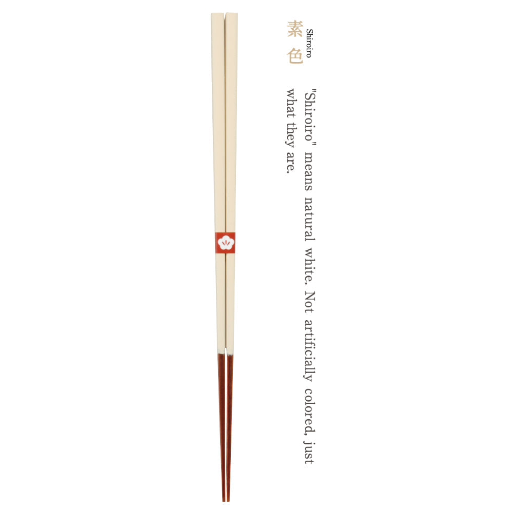 Traditional Colours Lacquered Chopsticks-Japan-Best.net-Shiroiro Ivory-Japan-Best.net