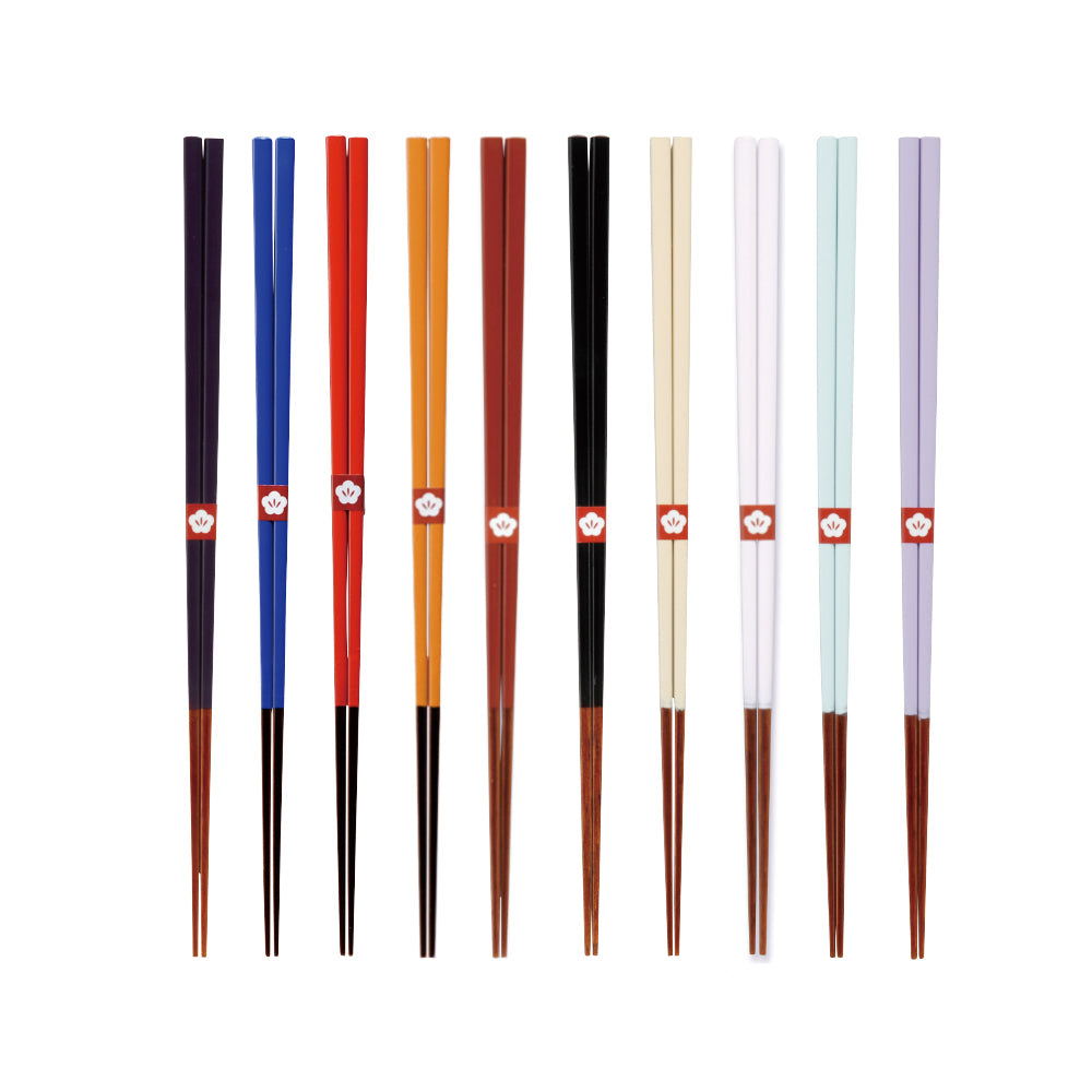 Traditional Colored Lacquered Chopsticks-Japan-Best.net-Nasukon Eggplant Purple-Japan-Best.net